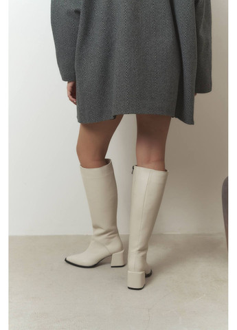 Стильні жіночі чоботи No Brand (362563290)