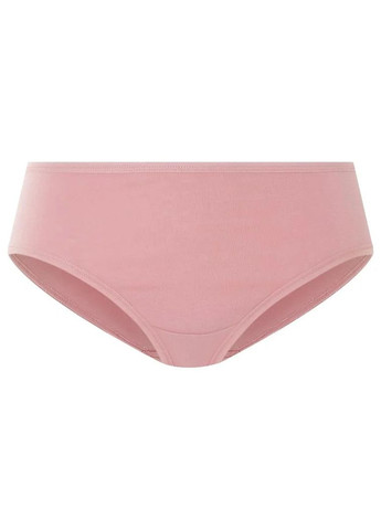 Женские трусики Esmara (364710785)