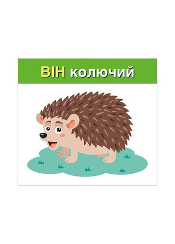 Навчальні картки "Вивчаємо займенники ВІН, ВОНА, ВОНО, ВОНИ" 10109168, 15 карток Ranok Creative (361146833)