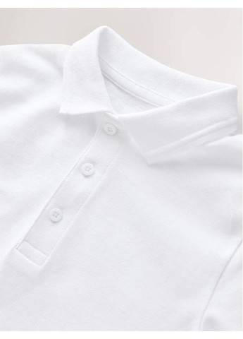 Разноцветный демисезонный лонгслив Next Trend