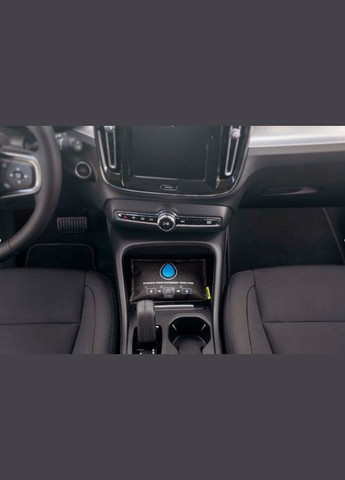 Вологопоглинач автомобільний 300 г Bison (317353449)