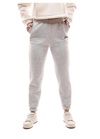 Штани спортивні жіночі Шарм (368996017)