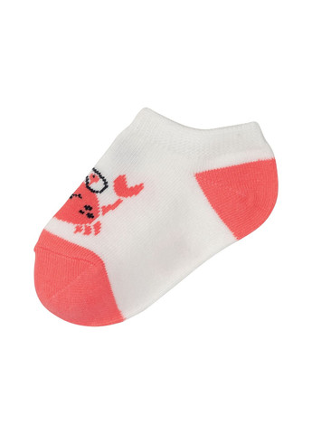 Шкарпетки 5 пар для дівчинки LIDL 372235 Різнобарвний Lupilu (292549812)