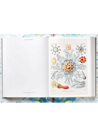 Книга The Art and Science of Ernst Haeckel (9783836526463) Taschen (364656142)