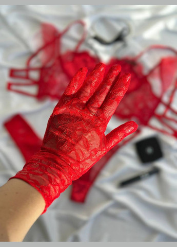 Красный комплек кружевного женского белья красного цвета No Brand