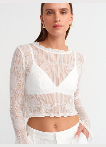 Лонгслів Dilvin (317169043)