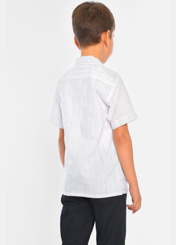 Сорочка дитяча хлопчик біла Let's Shop (316295761)