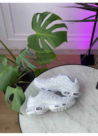 Кросівки жіночі і чоловічі Nike Air Max TN Plus white | Найк Аір Макс ТН Плюс білі No Brand білі демісезони (362476505)