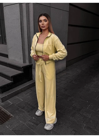 Женский велюровый костюм кофта+штаны+топ Fashion (382027696)