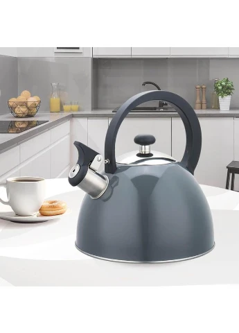 Чайник со свистком для плиты 2.5 л (MR-1302-GREY) Maestro (334008644)