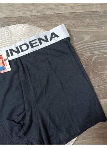 Мужские трусы - боксеры,, размеры от L до 4XL Indena (367159862)