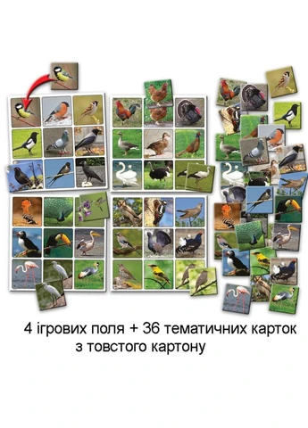 Детская настольная игра супер ЛОТО "Птицы" 81930 карточки птиц — 36 шт ЕНЕРГІЯ ПЛЮС (333934592)