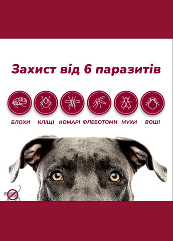 Краплі проти зовнішніх паразитів для собак Advantix від 10 до 25 кг ЦІНА ЗА 1 ШТ 85910426 Elanco (289869683)