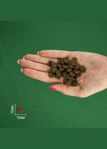 Сухий корм для котів Salmon Adult Cat з лососем, 7 кг (*) Bravery (304547701)