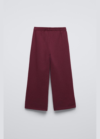 Дитячий теплий спортивний костюм (худі + штани) 5350/803 Каштановий Zara (316471343)