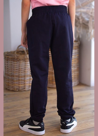 Темно-синие повседневный демисезонные брюки No Brand