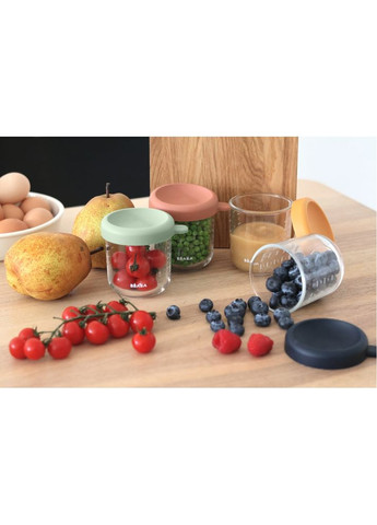 Набор контейнеров для хранения 4 шт. (4х250 мл), ст. 914009 Beaba (369489939)