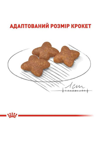 Сухий корм Mini Adult для собак дрібних порід старше 10 місяців 2 кг Royal Canin (278650167)
