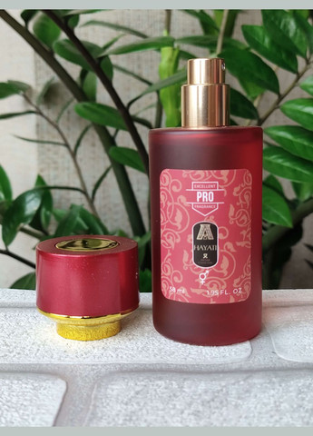 Парфюм унисекс Hayati (Хаяти), 58 мл No Brand (335365158)