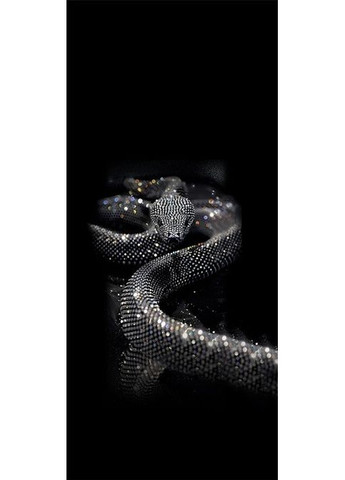 Наклейки на стойки дверей авто 3D TUNING STUDIO Змея 500х220х0.15мм=2штуки No Brand (362498356)