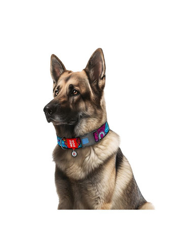 Ошейник для собак нейлоновый Nylon c QR паспортом, рисунок "Лето", пластиковый фастекс, XXL, Ш 35 мм, Дл 46-70 см WAUDOG (279565629)