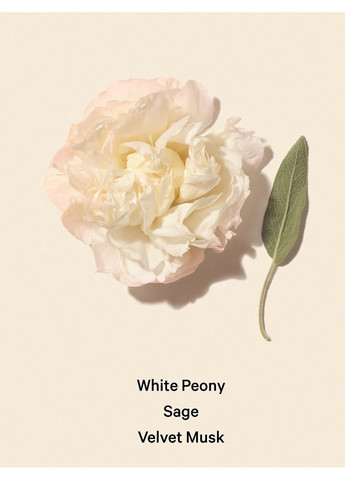 Bombshell seduction - Парфюмированный спрей для тела (мост) 75мл Victoria's Secret (366873860)