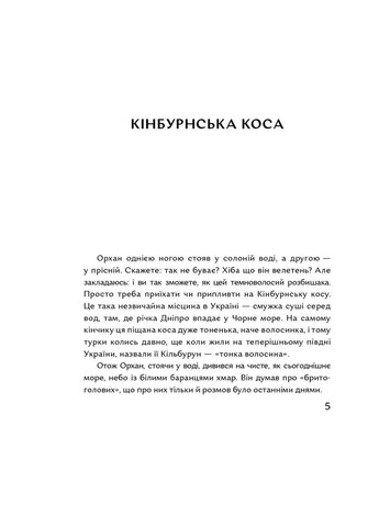 Книга Луна над Кинбурном. Автор – Юлия Стаховская (Портал) No Brand (338875310)