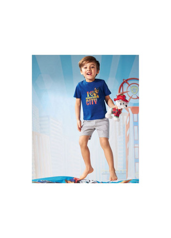 Піжамні шорти бавовняні трикотажні для хлопчика 356981 сірий Lupilu (264828293)