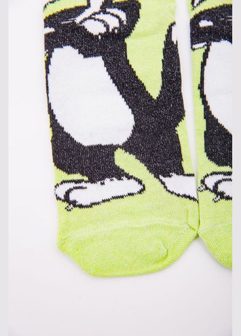 Салатові жіночі шкарпетки, салатового кольору з мультяшним принтом, 167r360 Ager (317448622)