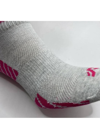 Серые набор женских носков Crivit (353493013)