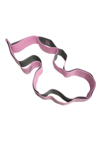 Эластичный ленточный эспандер сегментированный с 9 петлями WXF9 Розовый SNS (315492767)