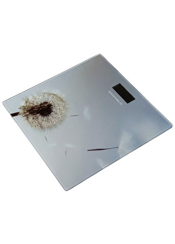 Ваги підлогові BES-BLG Grunhelm (306731693)