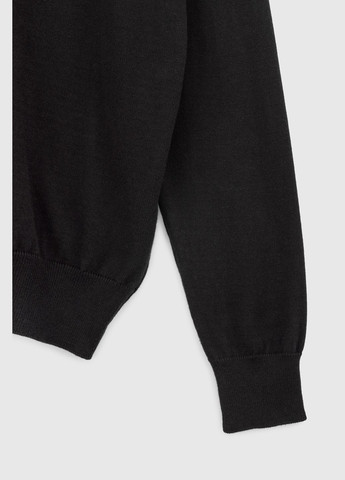 Пуловер однотонный мужской 6976 Черный (2000989965275) shop (2000989965275) Figo (316021864)