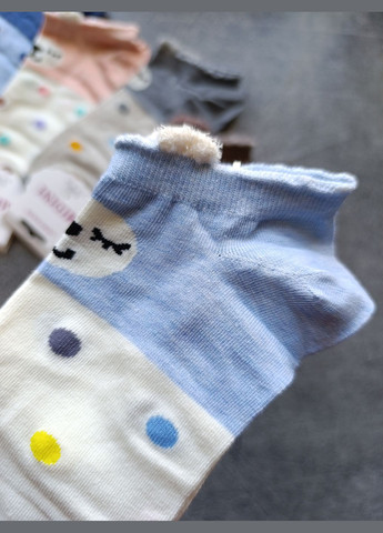 Бежеві 5 пар шкарпеток Midini анімалістичні (327367455)