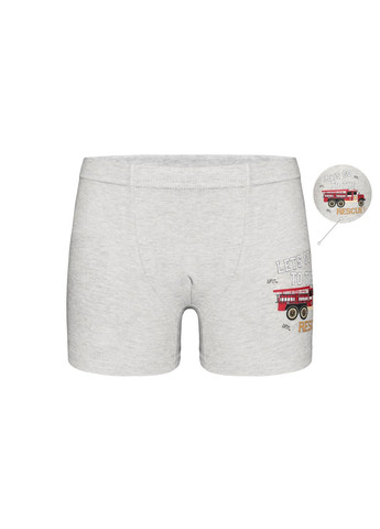 Набір (5 шт) трусів-боксерів для хлопчиків Donella 7524B1 (366888308)