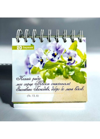 365 дней роста в вере Свічадо (354253394)