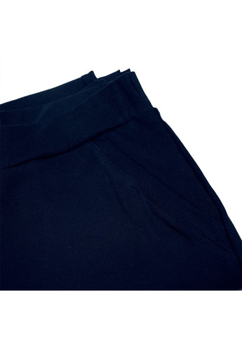 Штани спортивні М.Ф-196 Ярослав (292552999)