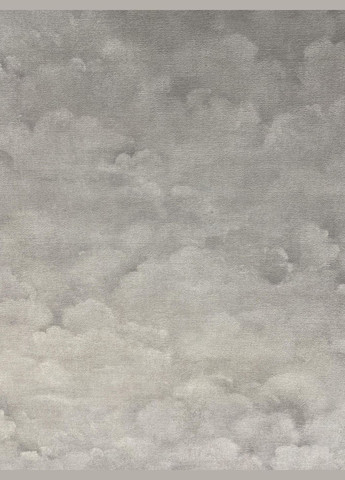 Вінілові шпалери A.S.Creation Luxury Damask 38895-5 Хмари на флізеліновій основі Сірий A.S. Creation (280900978)