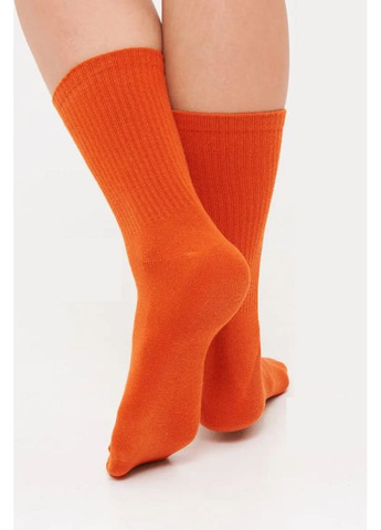 Терракотовые носки высокие с резинкой в рубчик masterstep unisex Master Step (351583732)