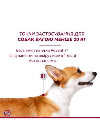 Краплі інсектоакарицидні Advantix для собак вагою до 4 кг ЦІНА ЗА 1 ШТ 85910388 Elanco (289869685)