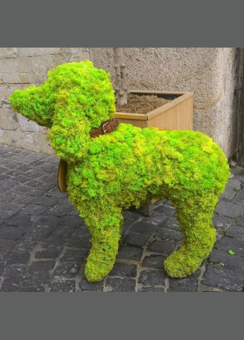 Очищений стабілізований мох ягель Зелений весняний 150 грам Nordic moss (276401071)