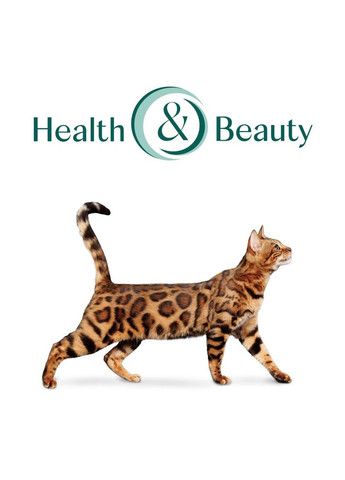 Сухой корм для стерилизованных кошек и кастрированных котов Лосось (ОПТИМИЛ) 4 кг Optimeal (278308912)