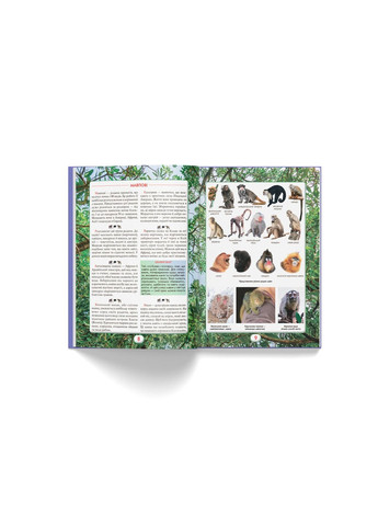 Книга Ви маєте це знати. Світ звірів 4693 shop (9786175474693) Crystal Book (366426687)