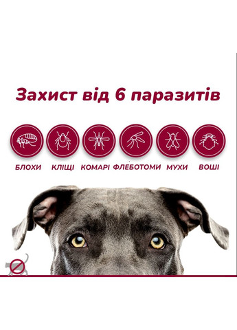 Краплі інсектоакарицидні Advantix для собак вагою понад 25 кг ЦІНА ЗА 1 ШТ Elanco (289533774)