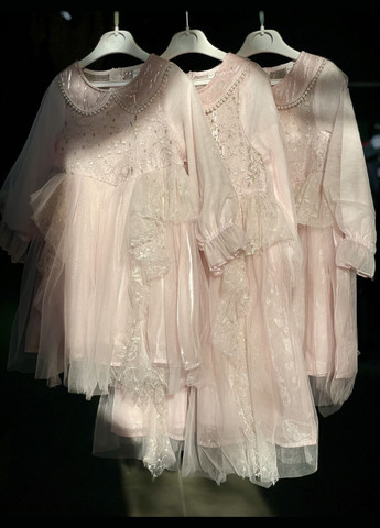 Рожева сукня святкова фатинова для дівчинки із срібною вишивкою рожева No Brand (340689869)