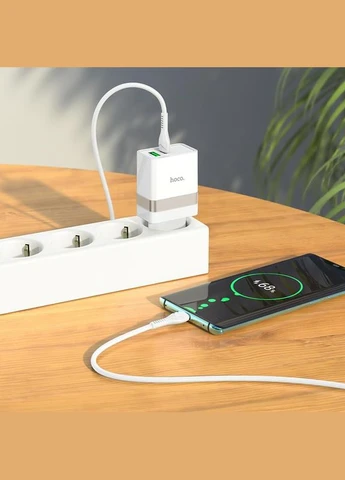 Зарядний пристрій N21 Extension speed charger set 30w USB + Type-C кабель Hoco (279554585)