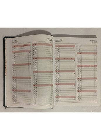 Щоденник датований А5 2026 рік 176 аркушів Infolk Miradur 3В-55 чорний лінія BRISK (361970987)