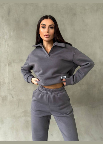 Женский костюм спортивный тринитка на флисе No Brand (307471960)