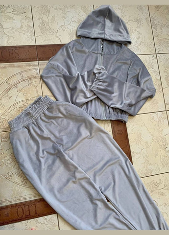 Велюровий костюм Fashion (333020641)