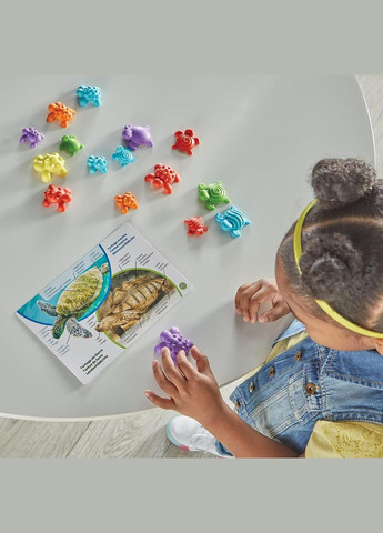 Математический набор «Тактильные черепахи» Tactile Turtles Math Activity Set hand2mind (342374332)